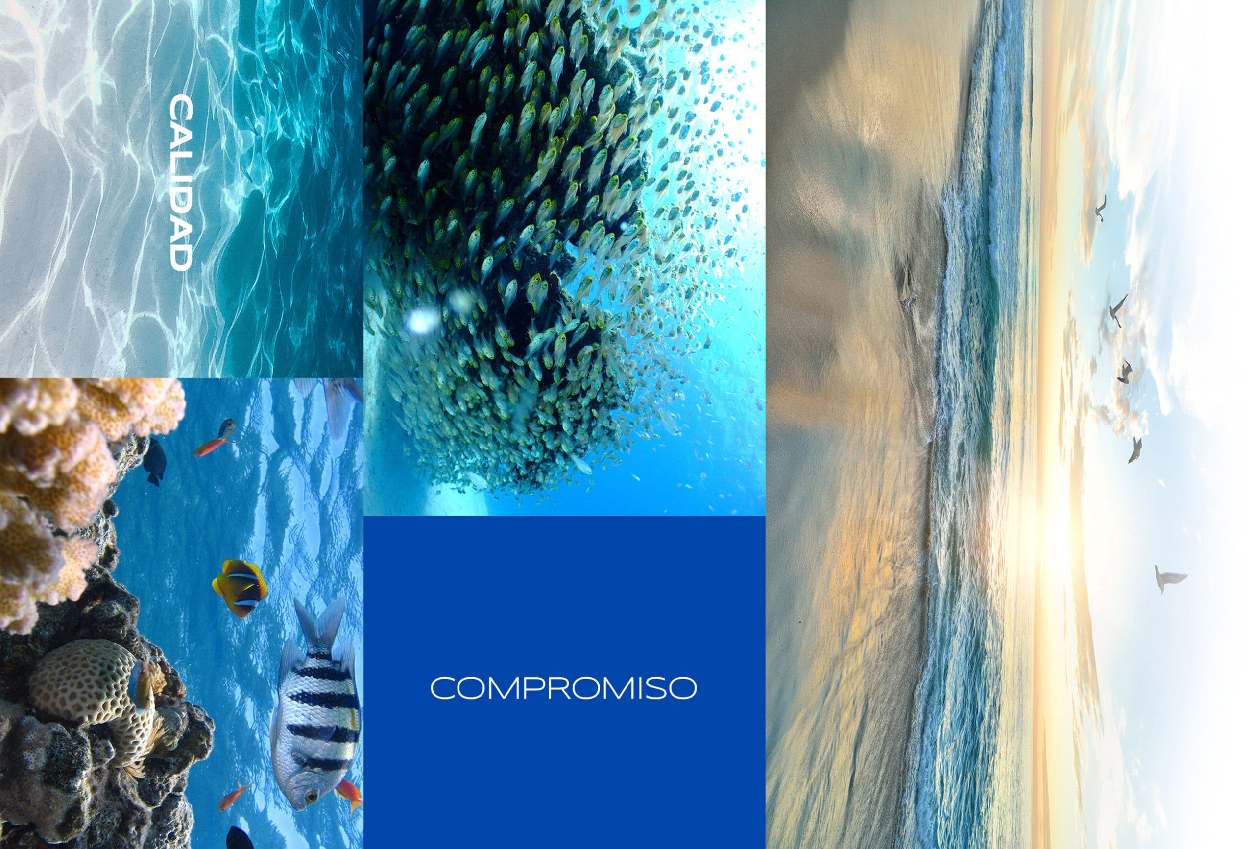 Fondo compromiso social_OKK